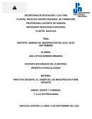 REPORTE: SEMANA DE OBSERVACIÓN DEL 05 AL 09 DE SEPTIEMBRE