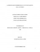 LA EMOCION, BASES NEUROBIOLOGICAS Y SU FUNCION ADAPTIVA