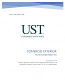 Efectos negativos y positivos en las exportaciones del país con la aprobación y puesta en marcha del TPP-11 y sus adversidades