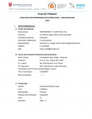 PLAN DE TRABAJO PRÁCTICAS PRE PROFESIONALES EN PSICOLOGÍA – ÁREA EDUCATIVA