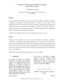 Pruebas de caracterización de haluros de alquilo