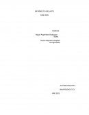 INFORME DE ADELANTO FASE DOS