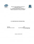 EL CO-IMPUTADO EN EL PROCESO PENAL