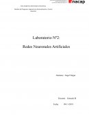 Aplicaciones de redes neuronales