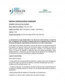 Construccion ciudadana