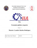 PIA Economía apilada a negocios