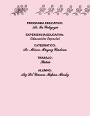 PROGRAMA EDUCATIVO. Educacion especial