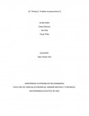 PRÁCTICA 2. ANÁLISIS MICROECONÓMICO B