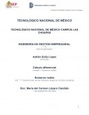 Cálculo diferencial Unidad 1. Números reales