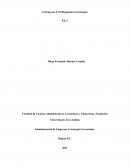 La Empresa Y El Diagnóstico Estratégico