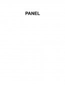 PANEL EJEMPLO