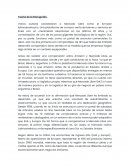 Ensayo plataformas Ecomerce Mercado Libre y Amazon