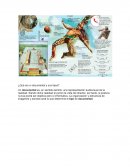 ¿Qué es un documental y sus tipos?