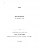 Electiva II concejo municipal ley de bancadas y control político