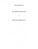 Calculo diferencial