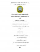 INVESTIGACIÓN DE MERCADO Chocotejas QORY