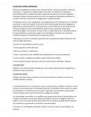 Las Personas Jurídicas Individuales