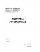 Industria petroquimica
