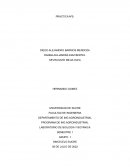 LABORATORIO DE BIOLOGIA Y BOTANICA