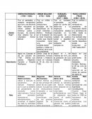 Analisis arbol 4 raices