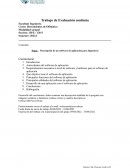 Descripción de un software de aplicación para Ingeniería