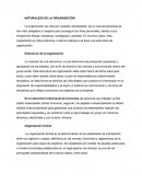 Naturaleza de la organizaciones