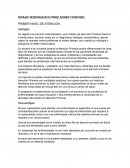 VENTAJAS Y DESVENTAJAS DE DEL PRIMER, SEGUNDO Y TERCER NIVEL