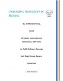 Líder bueno y Líder malo