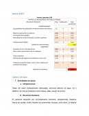 MATRIZ DE EVALUACIÓN DE FACTORES EXTERNOS