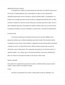 PRESUPUESTO DE CAPITAL