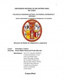 Resumen de Redes de indignación y esperanza