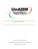 LA FÍSICA EN EL TRANSPORTE Y LA LOGÍSTICA