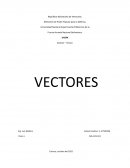 Vectores