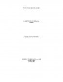 PORTAFOLIO DEL DELEGADO LA REPUBLICA DE IRLANDA