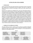 Acto del 20 de junio - Día de la Bandera