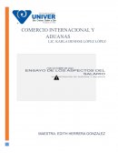 Ensayo de sueldos y salarios