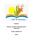 HISTORIA DE LA ATENCION ALA SALUD EN MEXICO