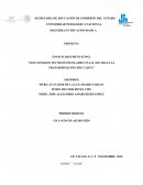 LOS CONSEJOS TÉCNICOS ESCOLARES UNA LLAVE HACIA LA TRANSFORMACIÓN EDUCATIVA