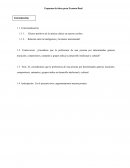 Esquema de ideas para Examen final