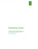 MALLA CURRICULAR Y PROGRAMACION