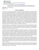 LA DIDÁCTICA DE LA GEOMETRÍA Y LAS NOCIONES ESPACIALES