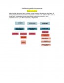 Análisis de gestión de personas (tarea acumulativa)