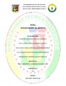 ENSAYO SOBRE EL ABORTO