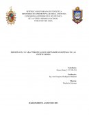 IMPORTANCIA Y CARACTERISTICAS DEL DISEÑADOR DE SISTEMAS EN LAS INSTITUCIONES