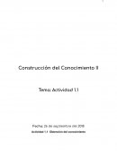 Actividad 1.1 Obtención del conocimiento