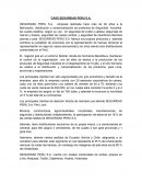 CASO SEGURIDAD PERU S.A