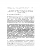 ANÁLISIS DE LAS EMPRESAS DEL SECTOR SECUNDARIO Y SU IMPACTO EN EL DESARROLLO ECONOMICO DEL MUNICIPIO DE AGUACHICA, CESAR