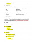 GUIA PRÁCTICA PLAN DE MEJORA