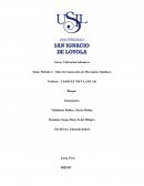 Método 3 - Valor de transacción de Mercancías Similares