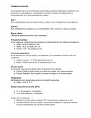 PRIMEROS AUXILIOS - SOBRECARGO